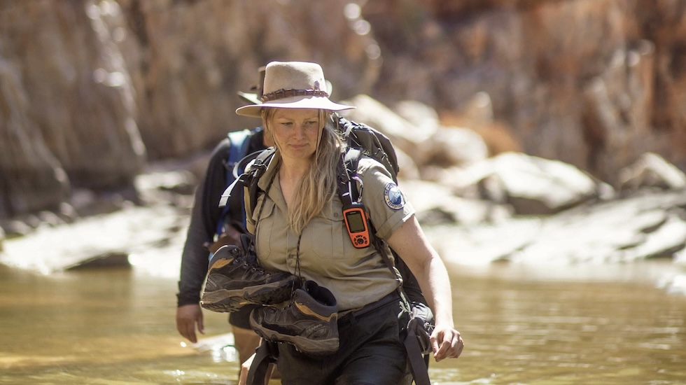 Anna Dakin Wants You To Answer The Call Of The Wild, Paintbrush In Hand